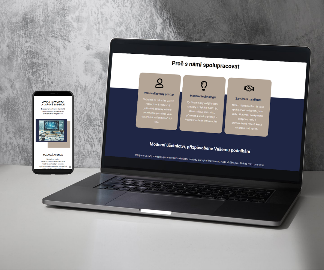 UCEVS – účetní portál